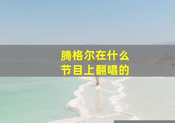 腾格尔在什么节目上翻唱的