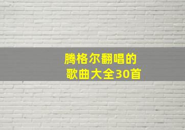 腾格尔翻唱的歌曲大全30首