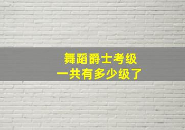 舞蹈爵士考级一共有多少级了