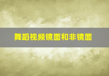 舞蹈视频镜面和非镜面