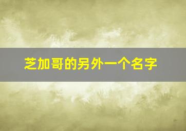 芝加哥的另外一个名字