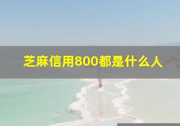 芝麻信用800都是什么人