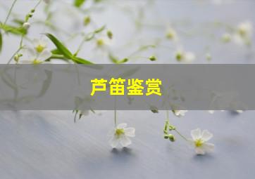 芦笛鉴赏