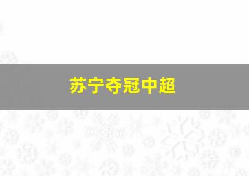 苏宁夺冠中超