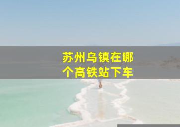 苏州乌镇在哪个高铁站下车