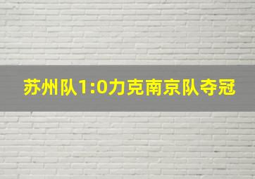 苏州队1:0力克南京队夺冠