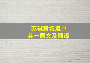 苏轼新城道中其一原文及翻译