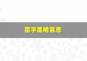 苗字是啥意思