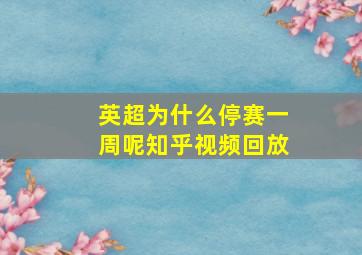 英超为什么停赛一周呢知乎视频回放