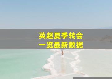 英超夏季转会一览最新数据