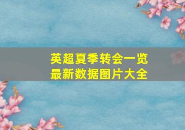 英超夏季转会一览最新数据图片大全