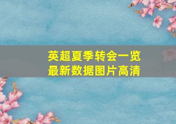 英超夏季转会一览最新数据图片高清