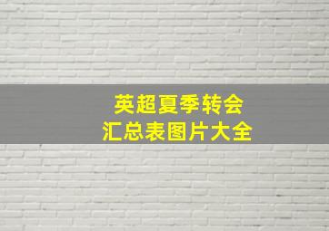 英超夏季转会汇总表图片大全