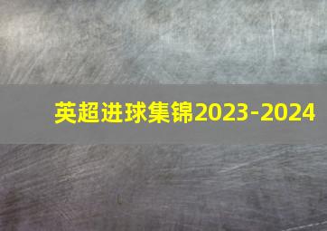 英超进球集锦2023-2024