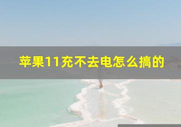 苹果11充不去电怎么搞的