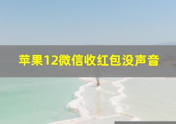 苹果12微信收红包没声音