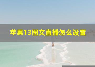 苹果13图文直播怎么设置