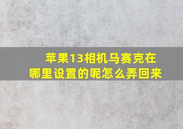 苹果13相机马赛克在哪里设置的呢怎么弄回来