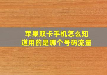 苹果双卡手机怎么知道用的是哪个号码流量