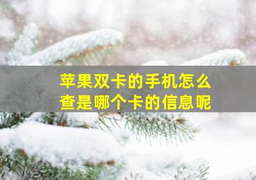 苹果双卡的手机怎么查是哪个卡的信息呢