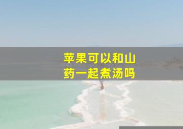 苹果可以和山药一起煮汤吗