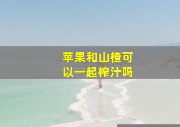 苹果和山楂可以一起榨汁吗