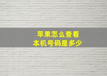 苹果怎么查看本机号码是多少