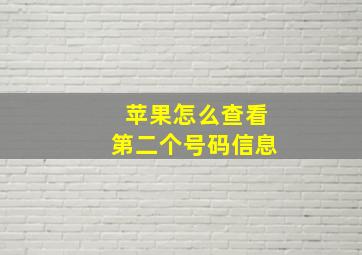 苹果怎么查看第二个号码信息