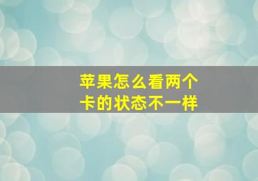 苹果怎么看两个卡的状态不一样