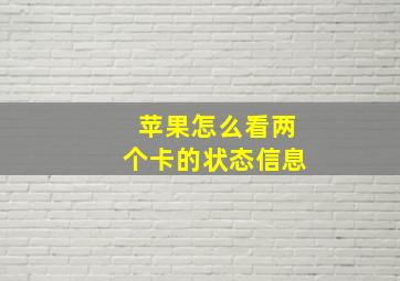 苹果怎么看两个卡的状态信息