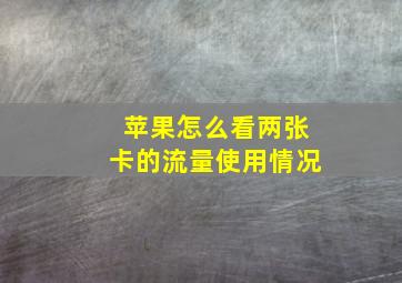 苹果怎么看两张卡的流量使用情况