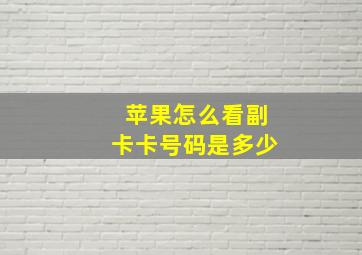 苹果怎么看副卡卡号码是多少