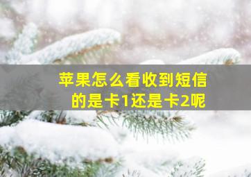 苹果怎么看收到短信的是卡1还是卡2呢