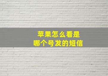 苹果怎么看是哪个号发的短信