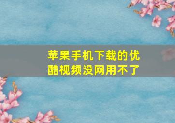 苹果手机下载的优酷视频没网用不了