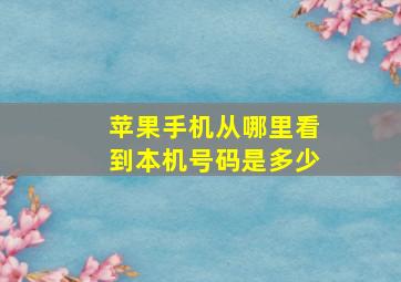 苹果手机从哪里看到本机号码是多少