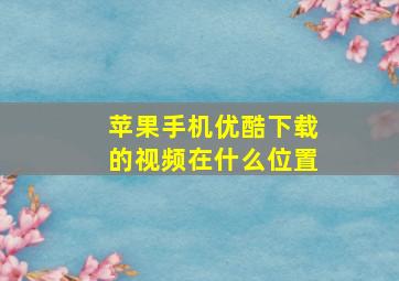 苹果手机优酷下载的视频在什么位置