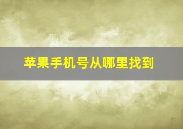 苹果手机号从哪里找到