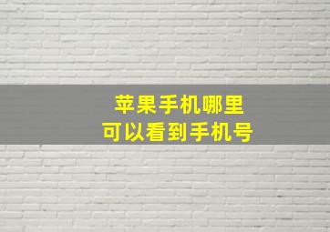 苹果手机哪里可以看到手机号