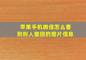 苹果手机微信怎么看到别人撤回的图片信息