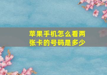 苹果手机怎么看两张卡的号码是多少