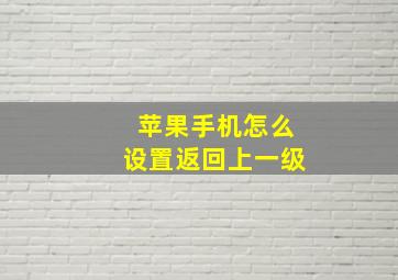 苹果手机怎么设置返回上一级