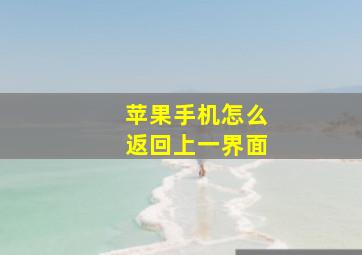 苹果手机怎么返回上一界面