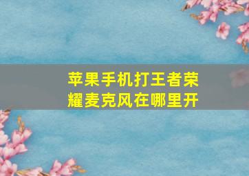 苹果手机打王者荣耀麦克风在哪里开