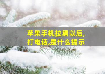 苹果手机拉黑以后,打电话,是什么提示