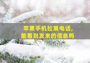 苹果手机拉黑电话,能看到发来的信息吗