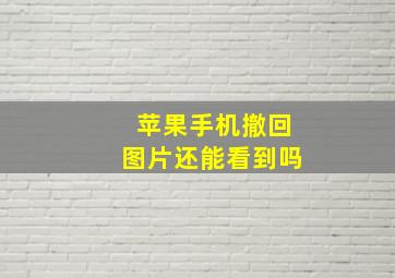 苹果手机撤回图片还能看到吗