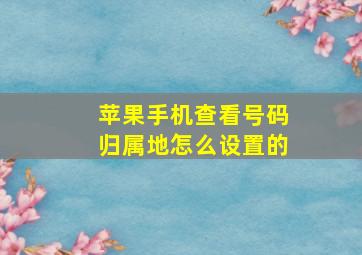 苹果手机查看号码归属地怎么设置的