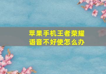 苹果手机王者荣耀语音不好使怎么办