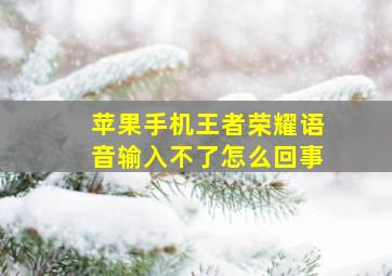 苹果手机王者荣耀语音输入不了怎么回事